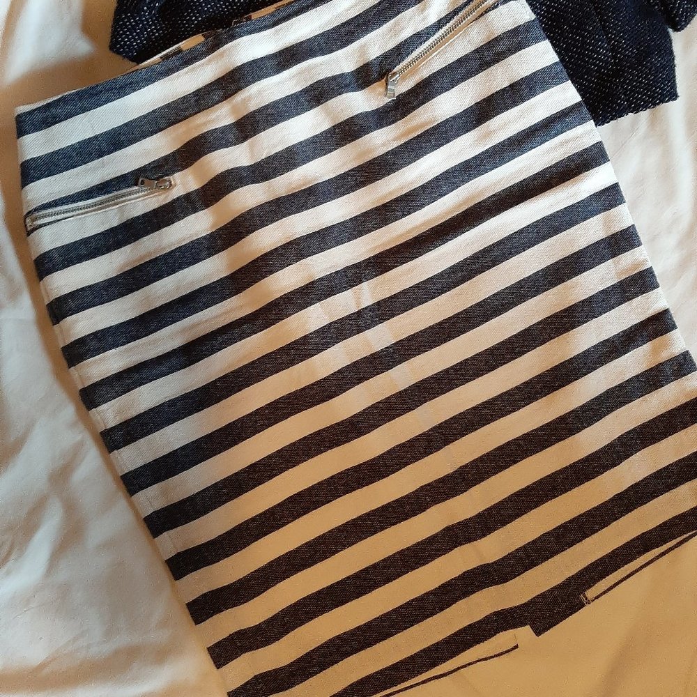 Ann Taylor Blue and White Sailor Stripe Skirt